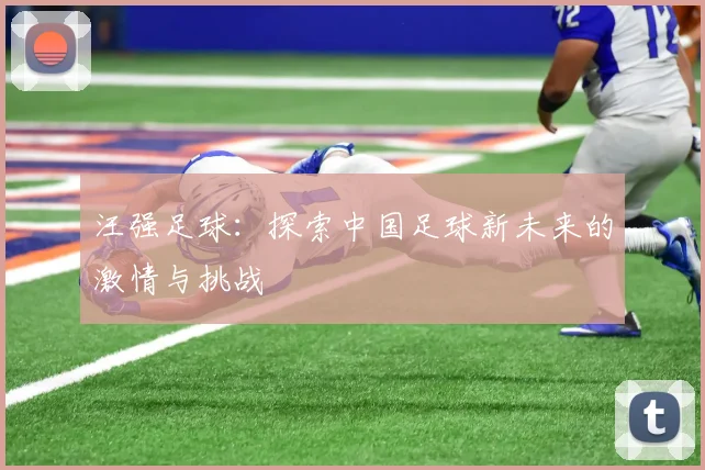 汪强足球：探索中国足球新未来的激情与挑战