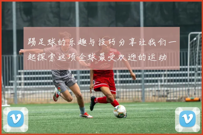 踢足球的乐趣与技巧分享让我们一起探索这项全球最受欢迎的运动