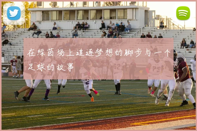 在绿茵场上追逐梦想的脚步与一个足球的故事